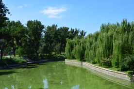 公园风景 