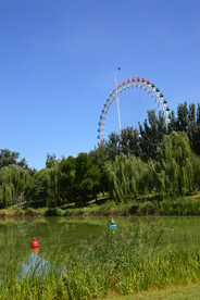 公园风景 
