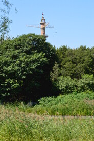 公园风景  