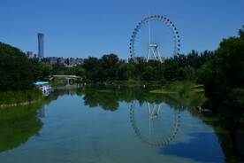 公园风景  