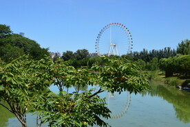 公园风景 