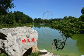 公园风景  