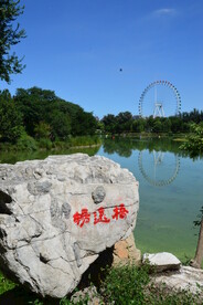 公园风景 