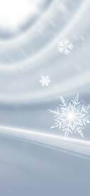 小雪
