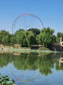 公园风景  
