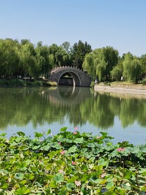 公园风景  