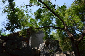 公园风景