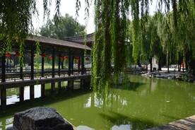 公园风景