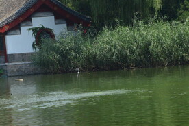 公园风景 