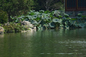 公园风景