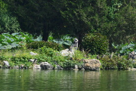 公园风景