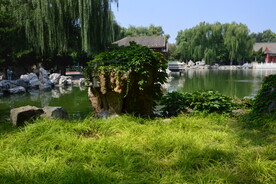 公园风景