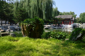 公园风景