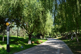 公园风景 