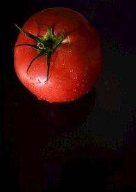 番茄             
