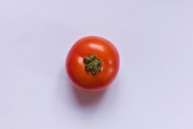 番茄             