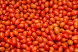 番茄             