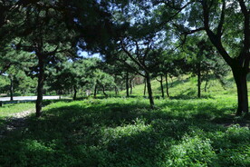 公园风景 