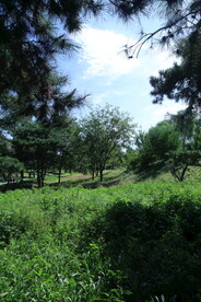 龙潭中湖风景 