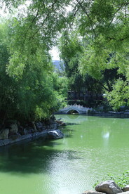 公园风景
