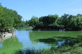 龙潭中湖风景 