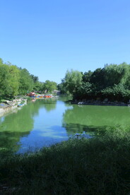 公园风景