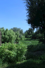 龙潭中湖风景