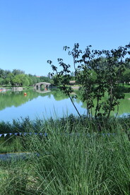 龙潭中湖风景