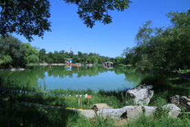 公园风景