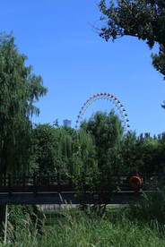 公园风景