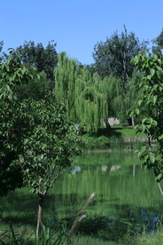 公园风景