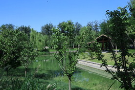 公园风景 