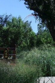 公园风景 