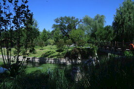 公园风景