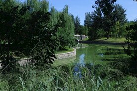 公园风景 
