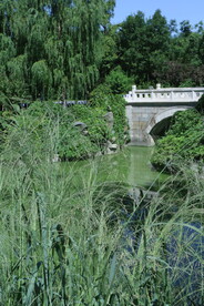公园风景