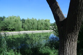 公园风景 