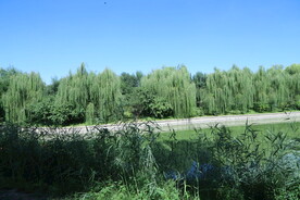 公园风景
