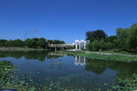 公园风景 
