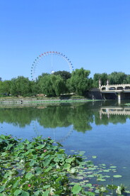 公园风景