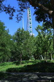 公园风景 