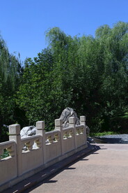 公园风景