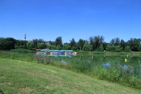 公园风景