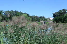 公园风景
