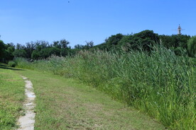 公园风景 