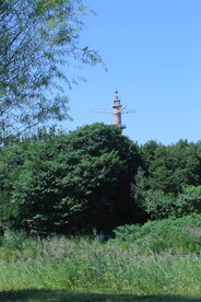 公园风景 