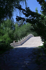 公园风景 