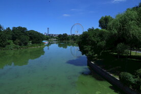 公园风景