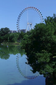 公园风景 