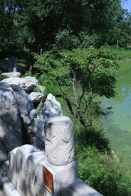 公园风景 
